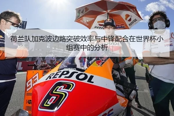 荷兰队加克波边路突破效率与中锋配合在世界杯小组赛中的分析